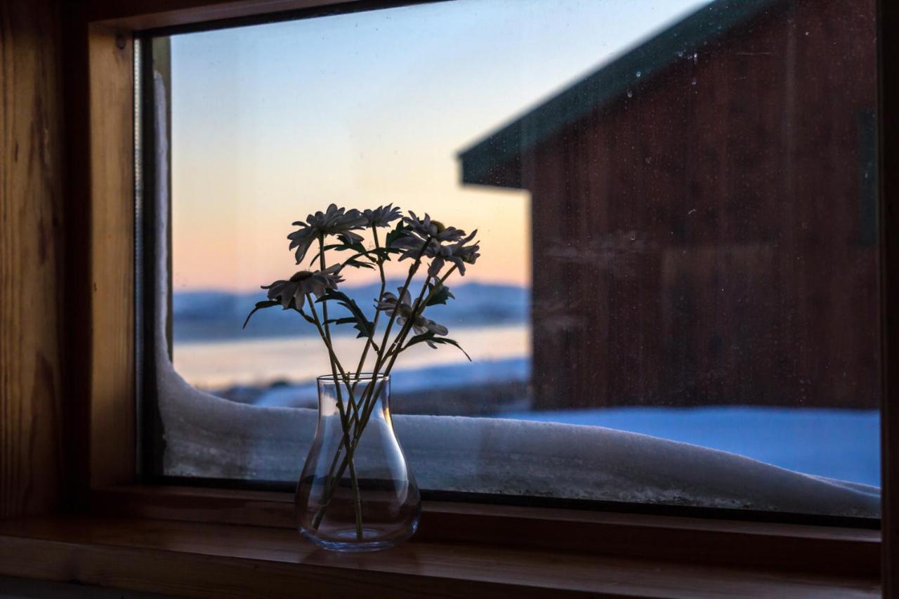 Lake Thingvellir Cottages Blaskogabyggd Exteriör bild