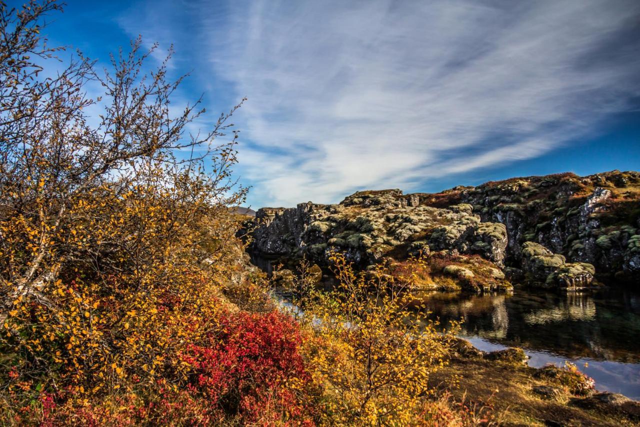 Lake Thingvellir Cottages Blaskogabyggd Exteriör bild